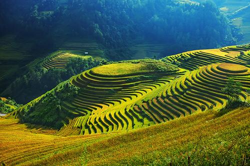 northwestern region, tay bac, rustic life