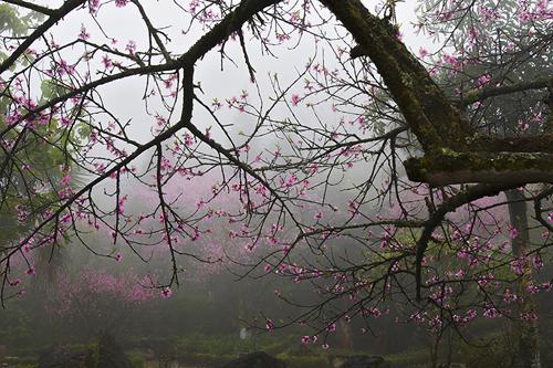 northwestern region, tay bac, rustic life