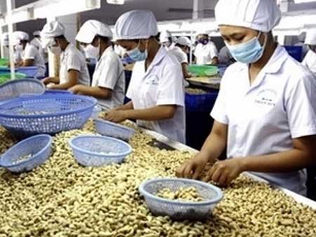 Vietnam's economy, cheap labour, FDI capital, domestic investment