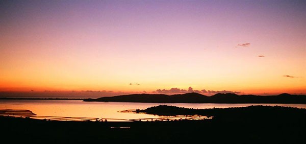 lagoon, tam giang, van long, o loan, nha phu, tourist site, wetland