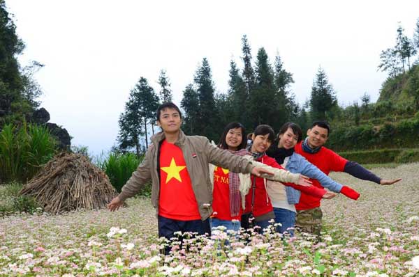 ha giang, buckwheat flower season