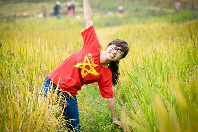 lung cu, harvest season, ripe rice, ha giang, northernmost point