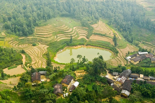 lung cu, harvest season, ripe rice, ha giang, northernmost point