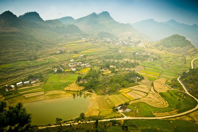 lung cu, harvest season, ripe rice, ha giang, northernmost point