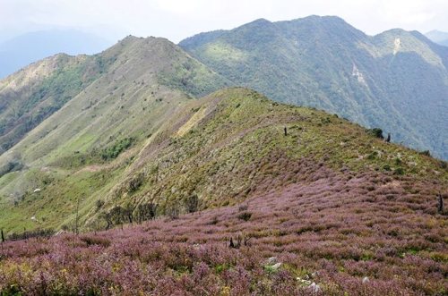 ta chi nhu peak, yen bai, ocean of clouds, climbers