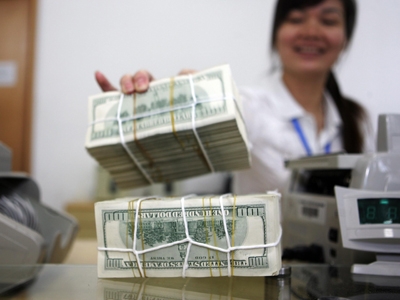 tien giang, aid, $10 billion, non-refundable loan, overseas vietnamese