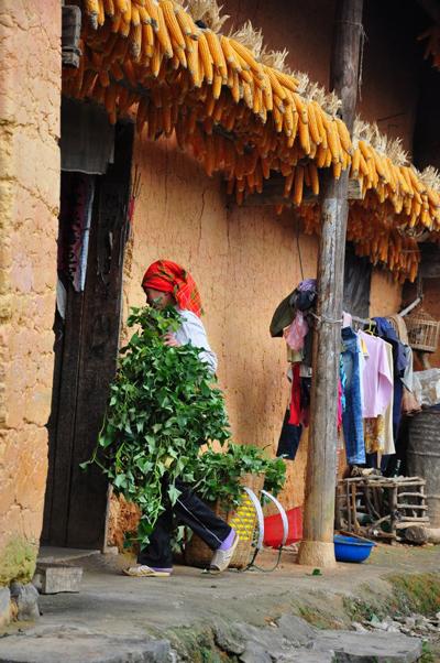 Pho Bang , ha giang, dong van rock plateau