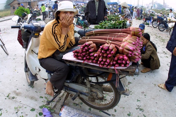 mobile shops, motorcycle shops, hanoi