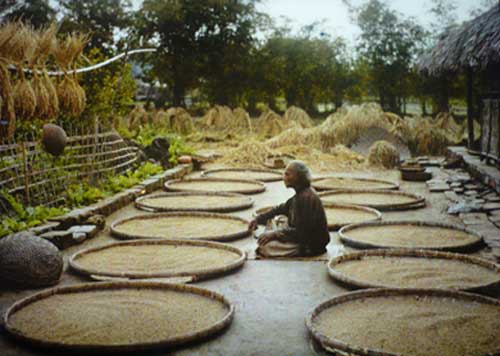 Photos, “Hanoi Colour” exhibition, French photographer Leon Busy, short films