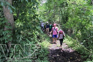 Dak Nong, central highlands, waterfalls