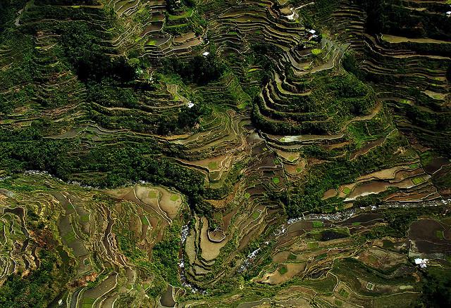 terraces, sapa, peru, china, terraced fields