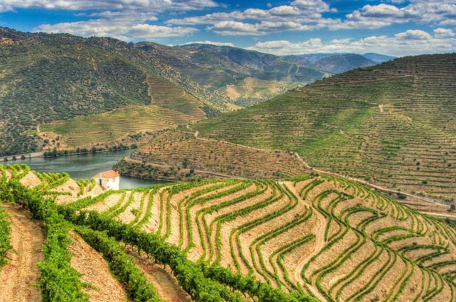 terraces, sapa, peru, china, terraced fields