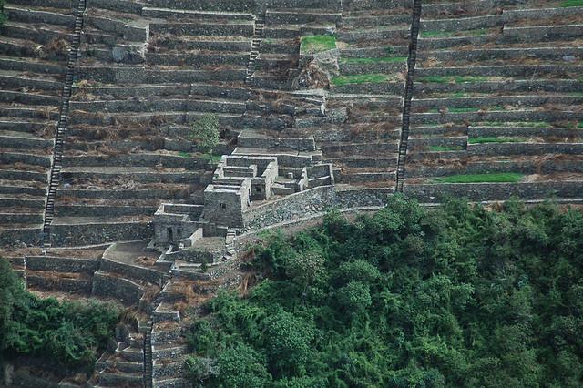 terraces, sapa, peru, china, terraced fields