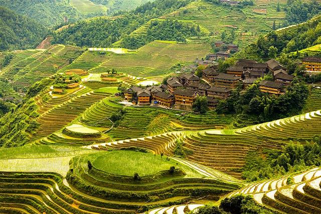 terraces, sapa, peru, china, terraced fields