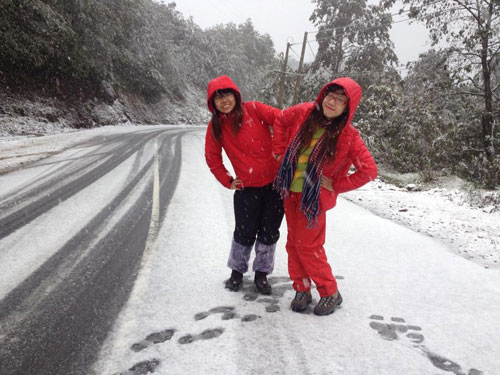 sapa, snowfall, snow