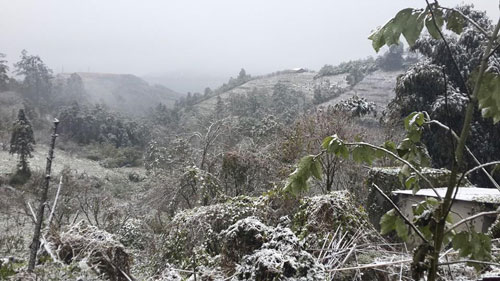 sapa, snowfall, snow