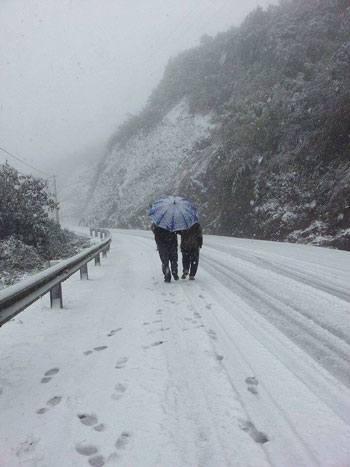 sapa, snowfall, snow