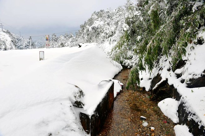 sapa, snowfall, snow