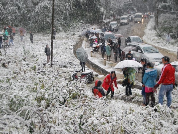 sapa, snowfall, snow