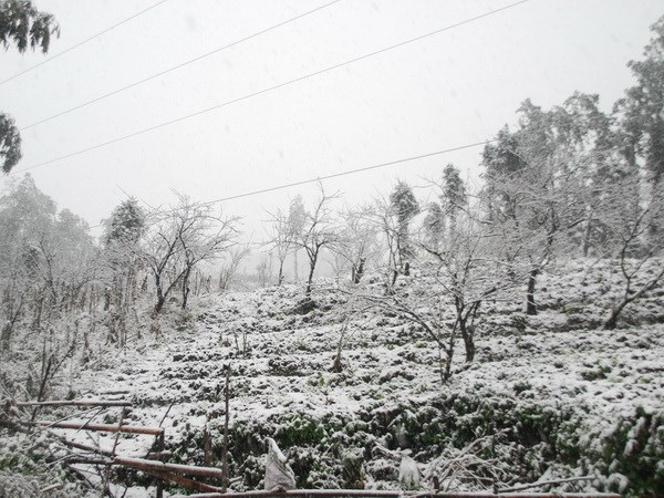 sapa, snowfall, snow