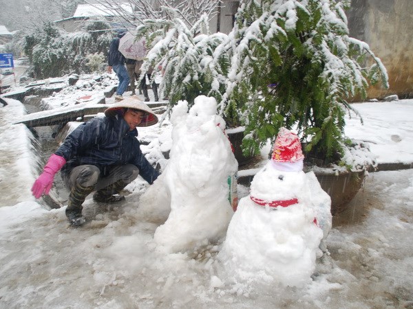 sapa, snowfall, snow