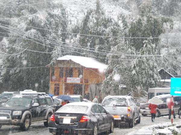 sapa, snowfall, snow