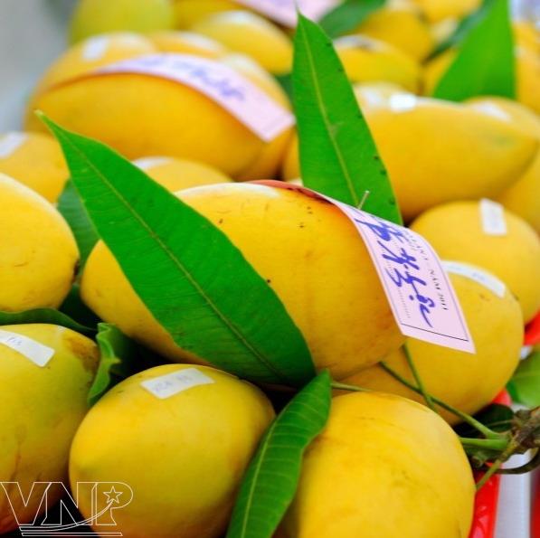vietnamese fruit, fruit, dragon fruit, fruit export, mekong delta
