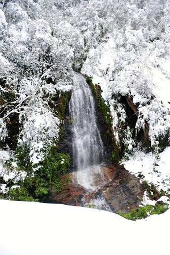 sapa snow, photos for charity, mountain kids, raising fund