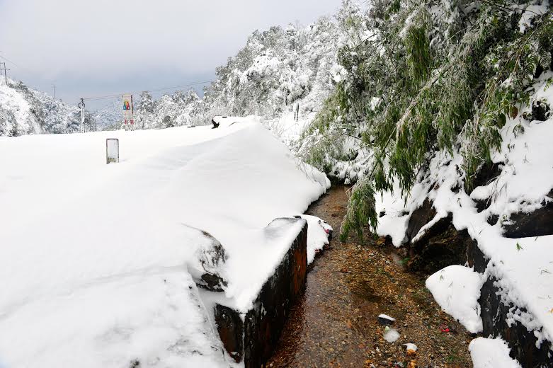 sapa snow, photos for charity, mountain kids, raising fund