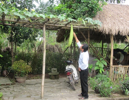 My Son, home-stay, rural living, bai choi folk songs