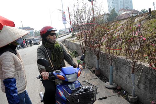 peach blossom, nhat tan, hanoi, tet, new year