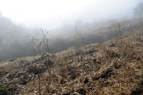 cold spell, y ty, lao cai, snow