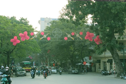 tet, hanoi street, decoration