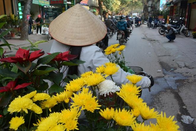 hoang hoa tham flower street