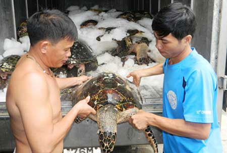 Vietnam commits to fight wildtrade in London Declaration