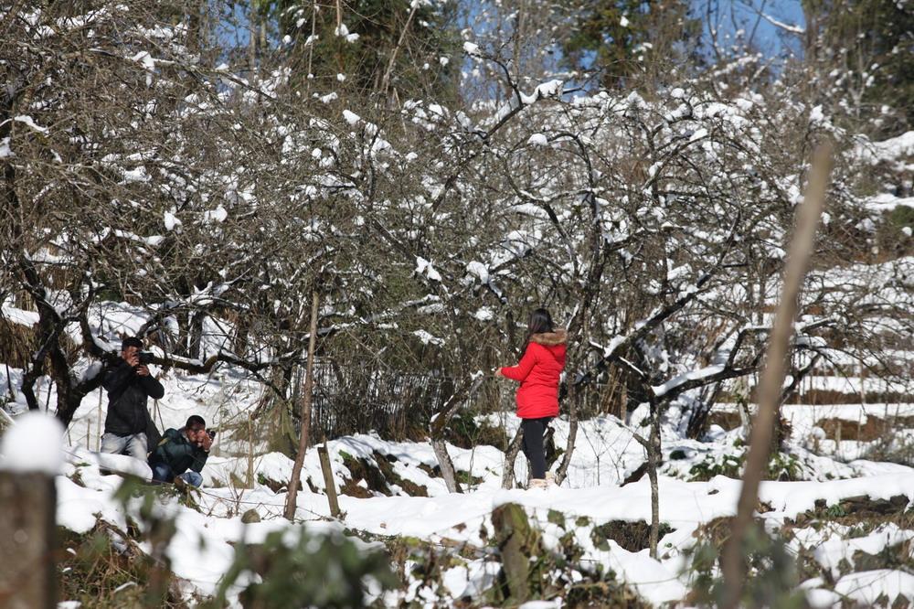 sapa, snowfall, snow