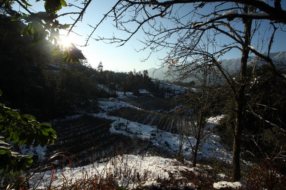 sapa, snowfall, snow