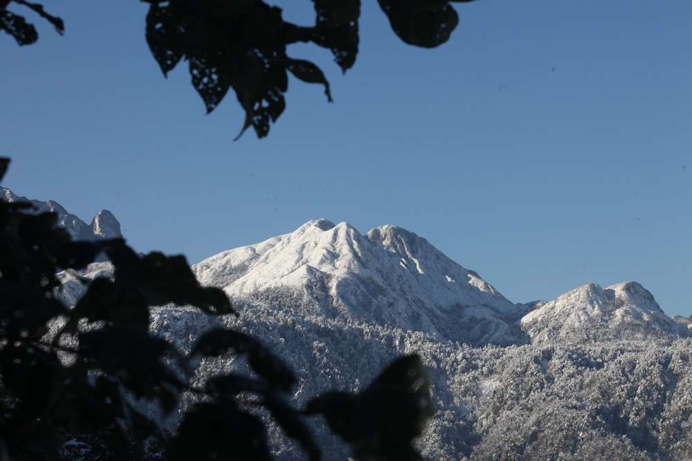 sapa, snowfall, snow