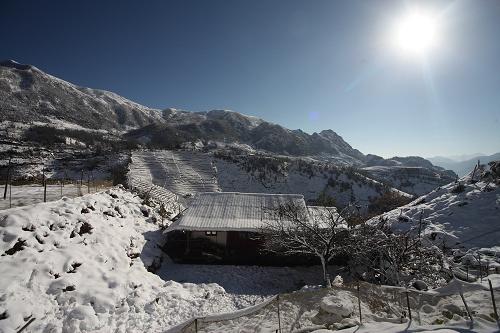 sapa, snowfall, snow