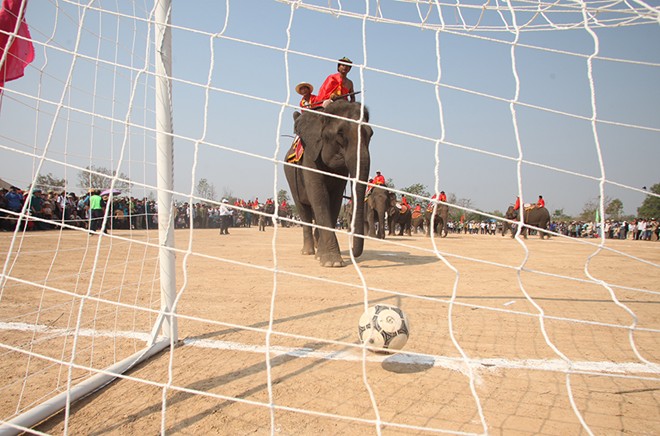 elephant festival, dak lak, don village