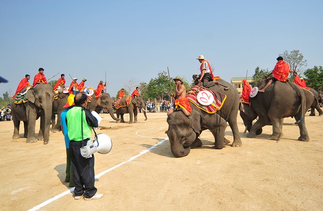 elephant festival, dak lak, don village