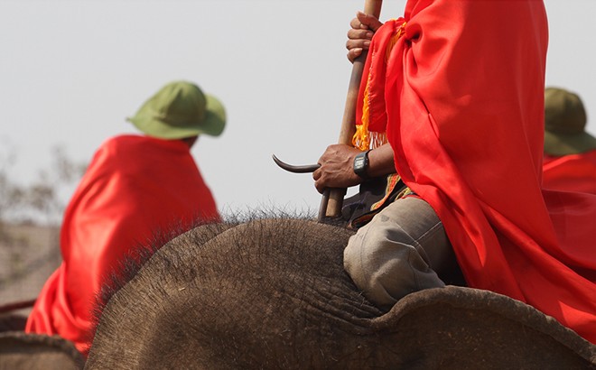 elephant festival, dak lak, don village