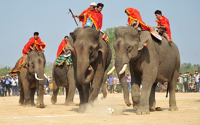 elephant festival, dak lak, don village