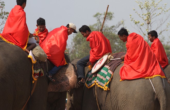 elephant festival, dak lak, don village