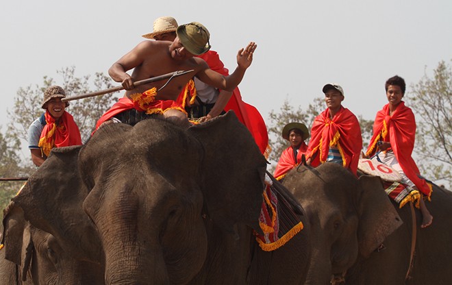 elephant festival, dak lak, don village