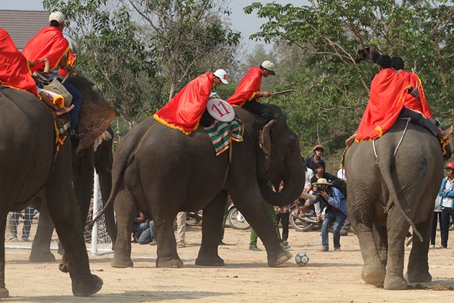 elephant festival, dak lak, don village