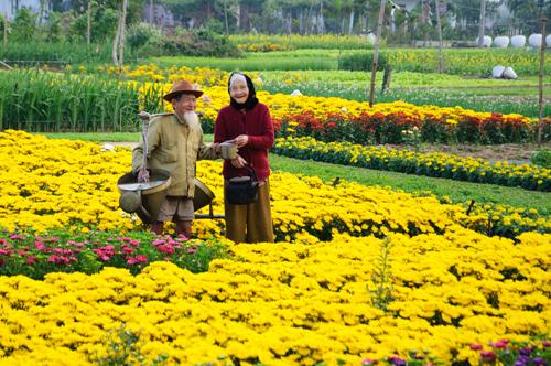 spring, vietnamese people, daily life in vietnam