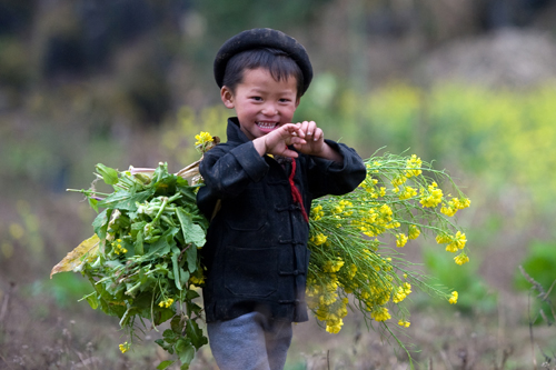 spring, vietnamese people, daily life in vietnam