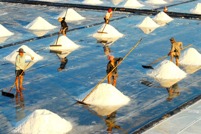 salt workers, binh phuoc, salt fields, hot spells