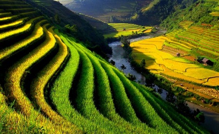national geographic, your vietnam, vietnamese people, landscapes